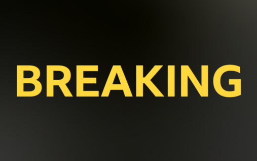 Manchester City midfielder Rodri gesturing on the pitch during a Premier League match