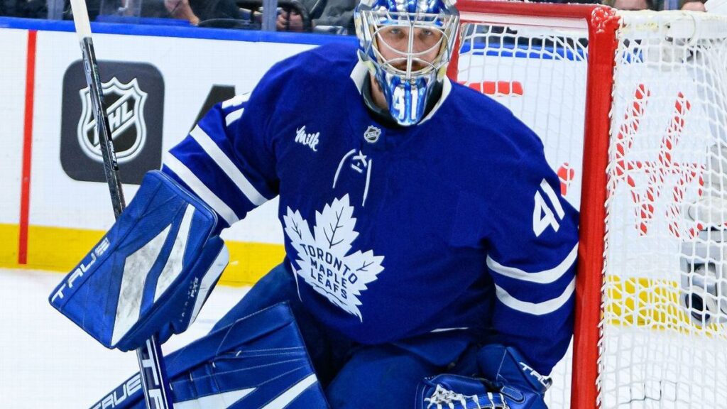 Toronto Maple Leafs goaltender Anthony Stolarz looking on during an NHL game