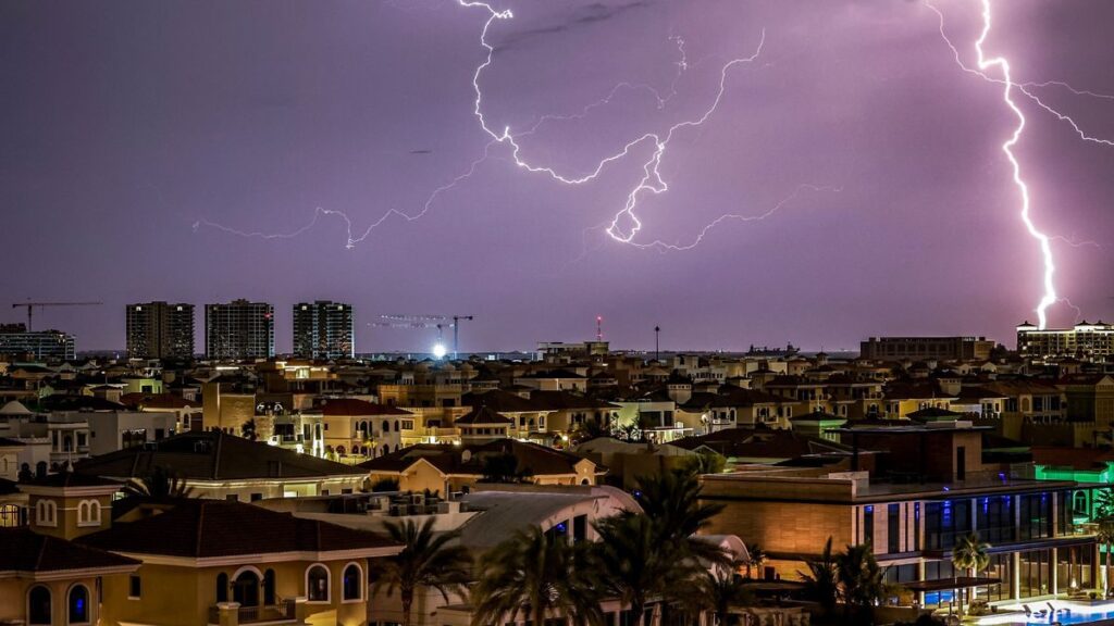 Racehorses competing on the turf track at Meydan racecourse in Dubai