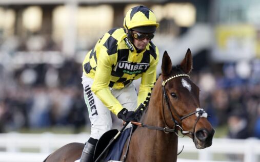 Racehorse Sir Gino jumping a hurdle during a race