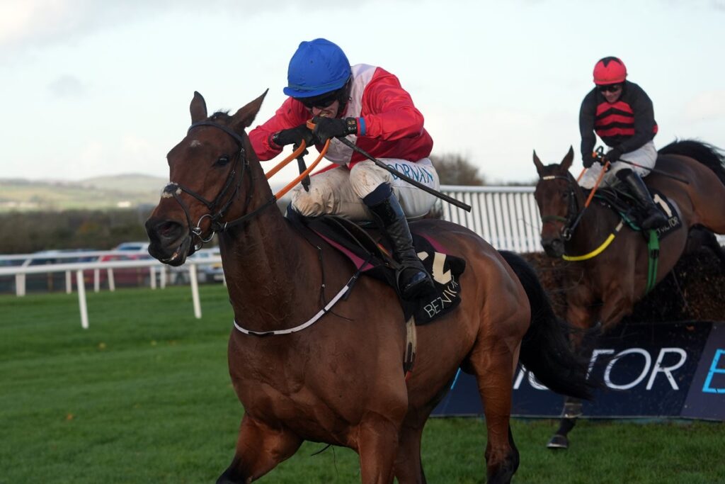 A general view of a racehorse and jockey jumping a hurdle during a race at the Cheltenham Festival