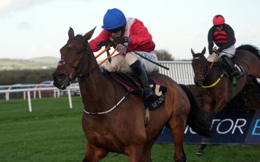 A general view of a racehorse and jockey jumping a hurdle during a race at the Cheltenham Festival