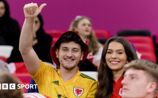 David Brooks smiling and celebrating in a Wales national team football shirt
