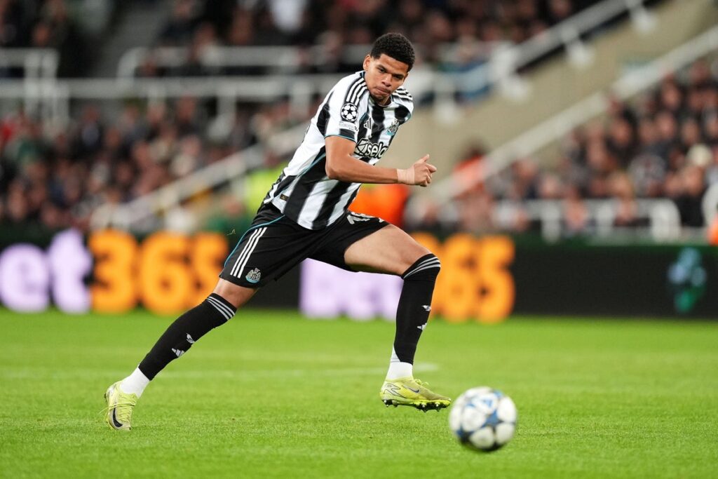 Will Osula celebrating his late winning goal for Newcastle United against Manchester United at St James' Park