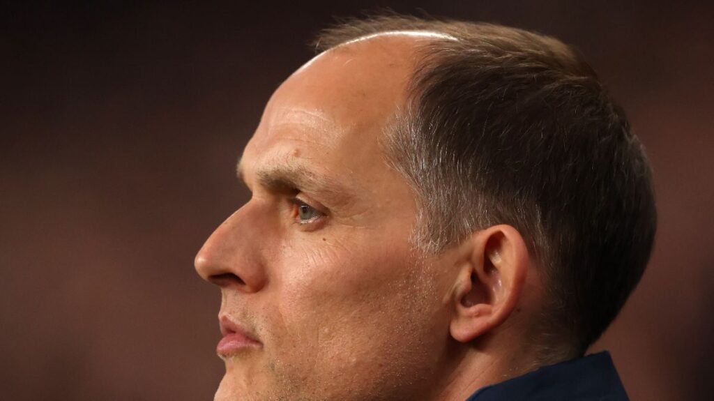 Joachim Low directing his team from the technical area during an international match