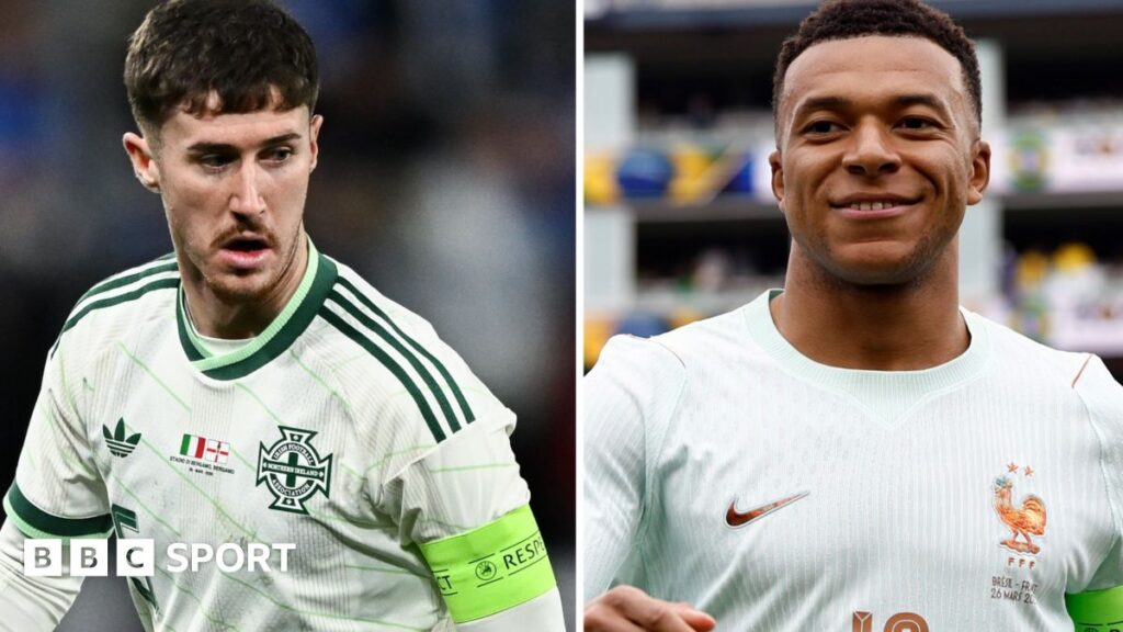 Northern Ireland manager Michael O'Neill giving tactical instructions from the touchline