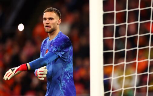 Bart Verbruggen playing in goal for the Netherlands national football team