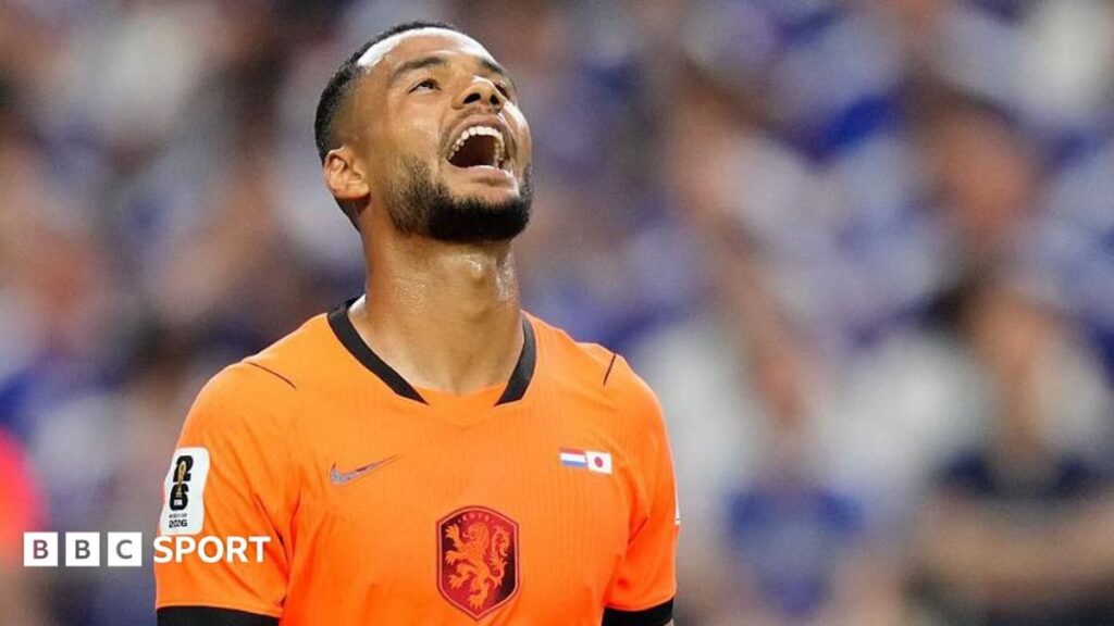 Cody Gakpo playing for the Netherlands national team at the World Cup